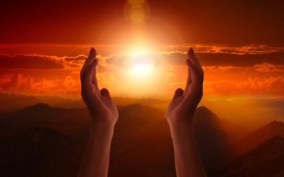 DAS LEBEN IST EINE SCHÖPFERISCHE REISE
