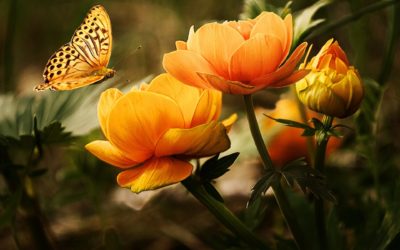 Durch schöpferisches Handeln verwandeln