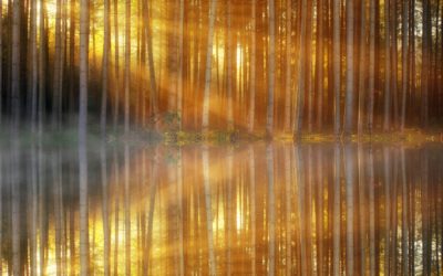 Spieglein, Spieglein
