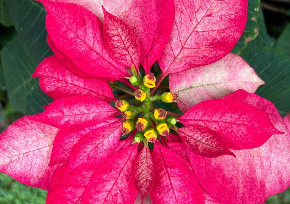 Das aussprechen, was ist