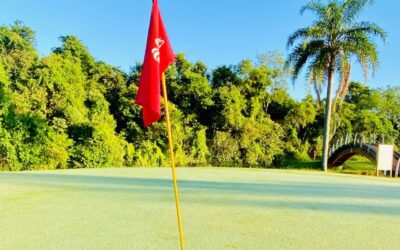 Idee – Initiative – Verwirklichen