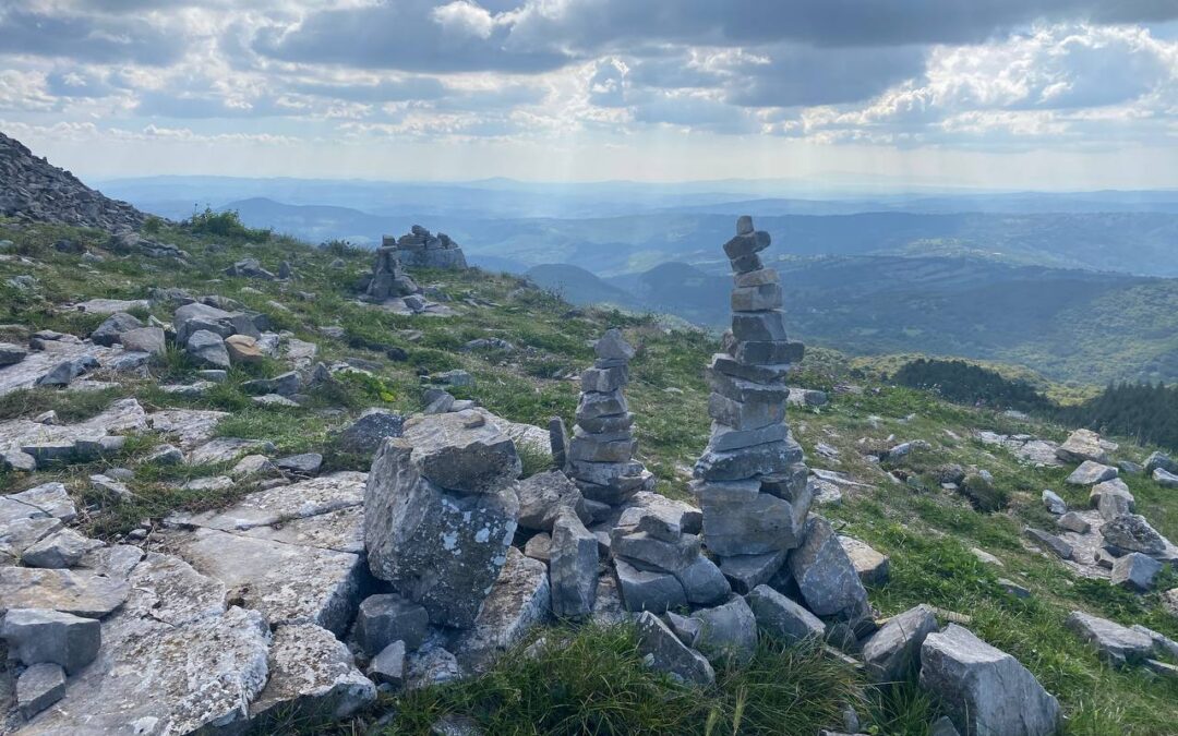 Erkennen-nicht-tadeln-ändern