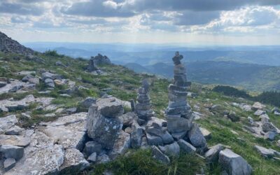 Erkennen – nicht tadeln – ändern