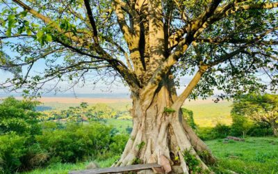 Es „gut“ sein lassen